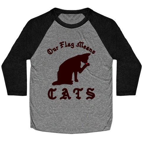 Our Flag Means Cats  Baseball Tee