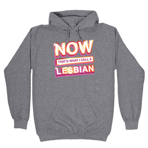 Now That's What I Call A Lesbian Hooded Sweatshirt