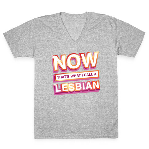 Now That's What I Call A Lesbian V-Neck Tee Shirt