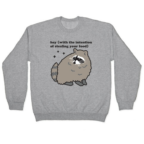 Hey (with the intention of stealing your food) Raccoon Pullover