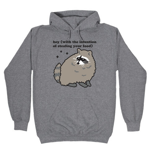 Hey (with the intention of stealing your food) Raccoon Hooded Sweatshirt