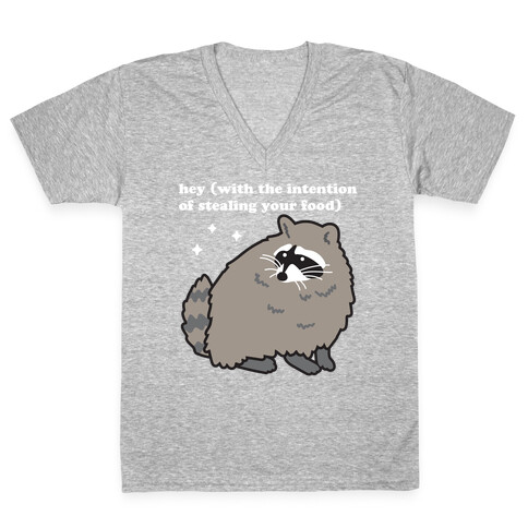 Hey (with the intention of stealing your food) Raccoon V-Neck Tee Shirt