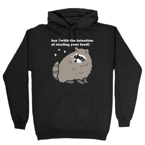Hey (with the intention of stealing your food) Raccoon Hooded Sweatshirt