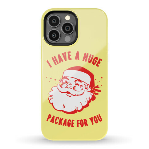 I Have A Huge Package For You Santa Phone Case
