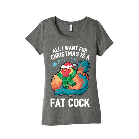 All I Want For Christmas Is A Fat Cock Womens T-Shirt