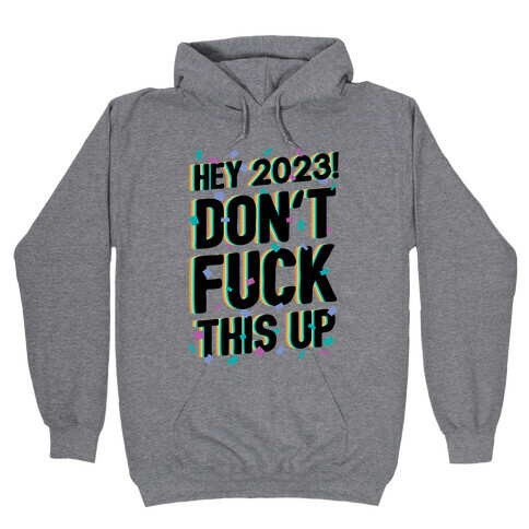 Hey 2023! Don't F*** This Up! Hooded Sweatshirt