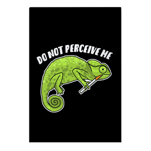 Do Not Perceive Me Chameleon Garden Flag