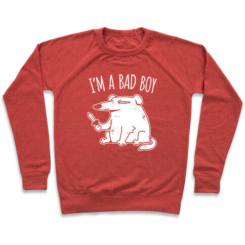 I'm A Bad Boy Pullover