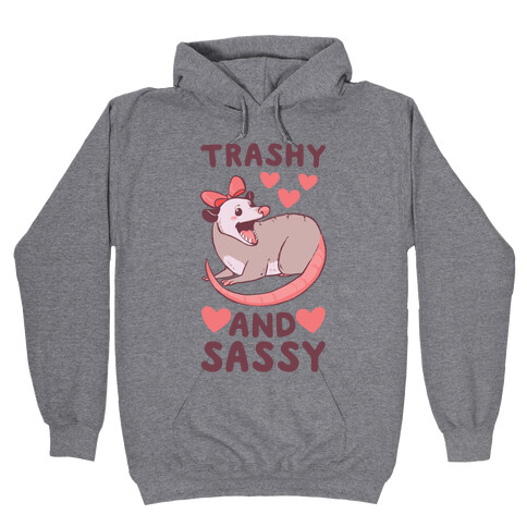 Trashy and Sassy Possum  Hooded Sweatshirt
