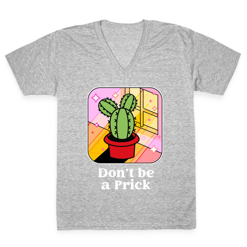 Don't Be a Prick V-Neck Tee Shirt