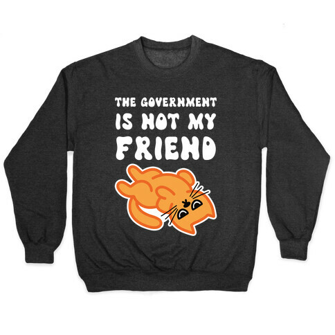 The Government Is Not My Friend (Grumpy Cat) Pullover