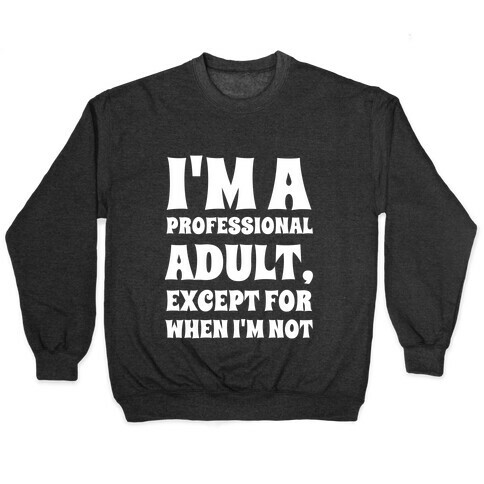 I'm A Professional Adult, Except For When I'm Not Pullover