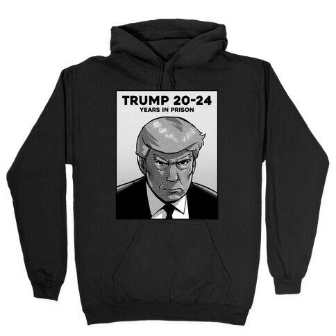 Trump 20-24 (Years In Prison ) Hooded Sweatshirt