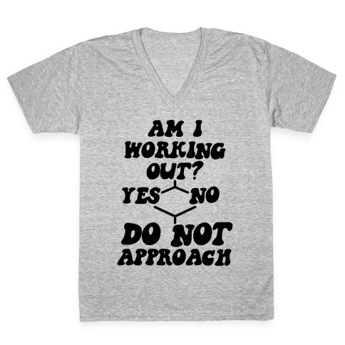Am I Working Out? Do Not Approach V-Neck Tee Shirt