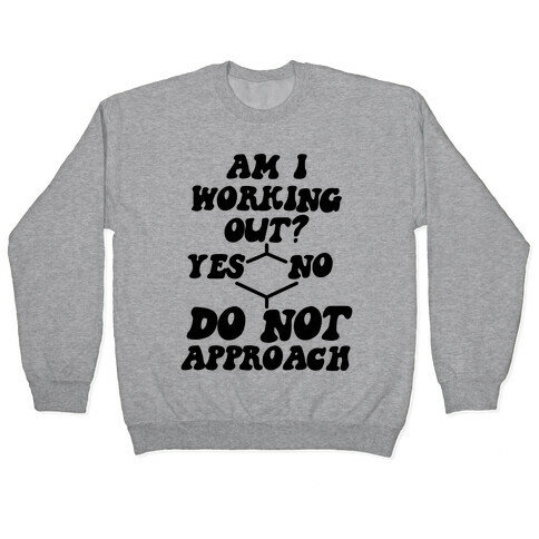 Am I Working Out? Do Not Approach Pullover