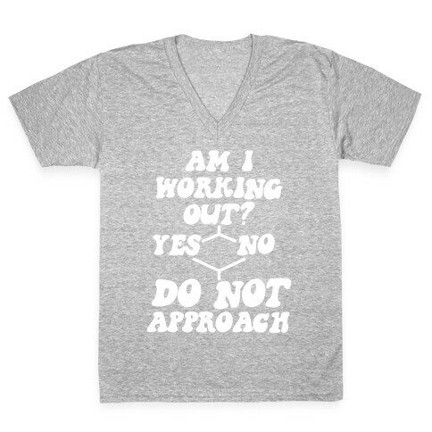 Am I Working Out? Do Not Approach V-Neck Tee Shirt