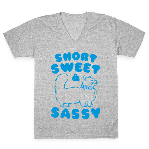 Short Sweet & Sassy V-Neck Tee Shirt