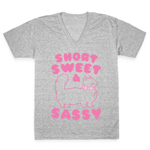 Short Sweet & Sassy V-Neck Tee Shirt