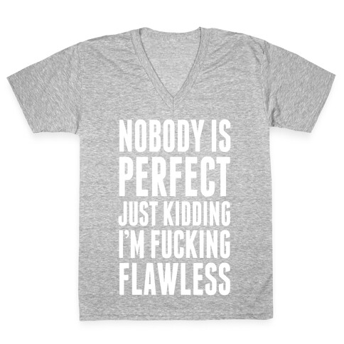 Nobody is Perfect. (Just Kidding) V-Neck Tee Shirt