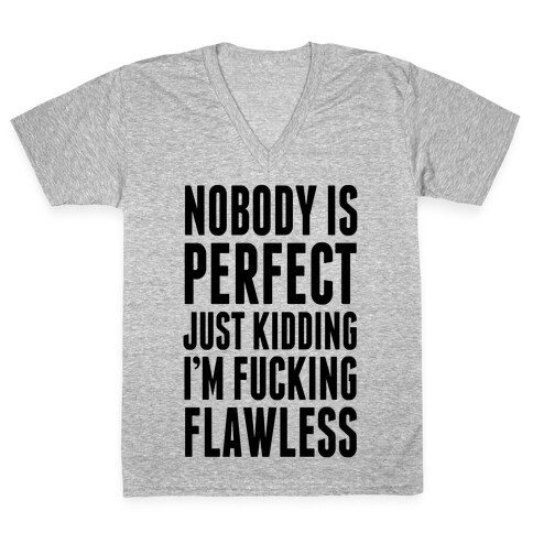 Nobody is Perfect. (Just Kidding) V-Neck Tee Shirt