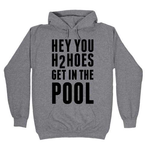 Hey You H2Hoes Get In The Pool Hooded Sweatshirt
