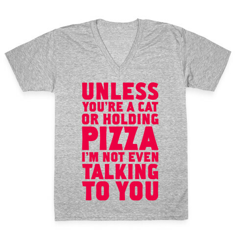 Unless You're A Cat Or Holding Pizza V-Neck Tee Shirt