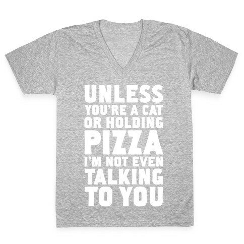 Unless You're A Cat Or Holding Pizza V-Neck Tee Shirt