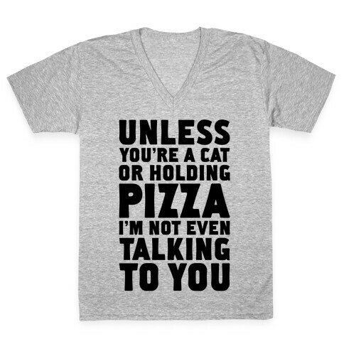 Unless You're A Cat Or Holding Pizza V-Neck Tee Shirt