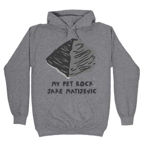 Jake Matijevic the Mars Rover Pet Rock Hooded Sweatshirt