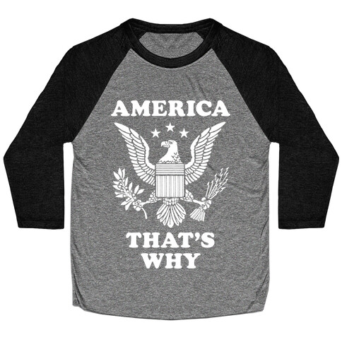 America That's Why Baseball Tee