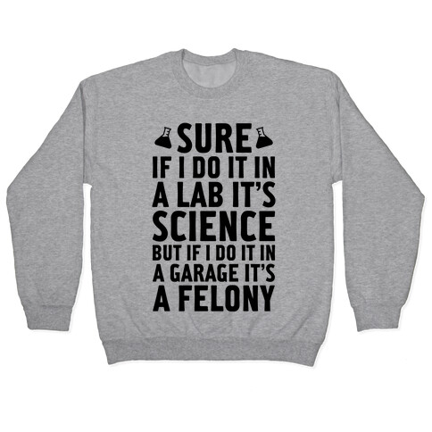 If I Do It In A Lab, It's Science Pullover