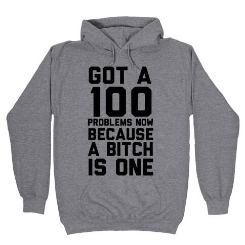 Got 100 Problems Now Because a Bitch is One Hooded Sweatshirt