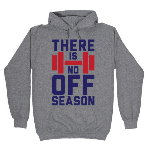 There Is No Off Season Hooded Sweatshirt