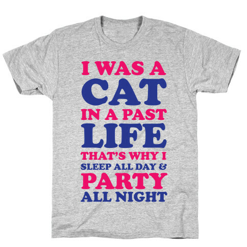 I Was a Cat in a Past Life That's Why I Sleep All Day T-Shirt