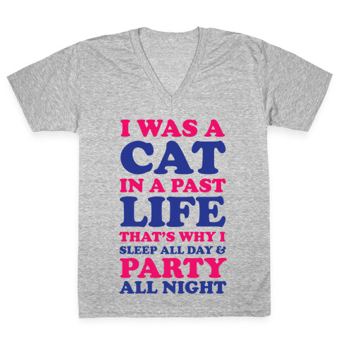 I Was a Cat in a Past Life That's Why I Sleep All Day V-Neck Tee Shirt
