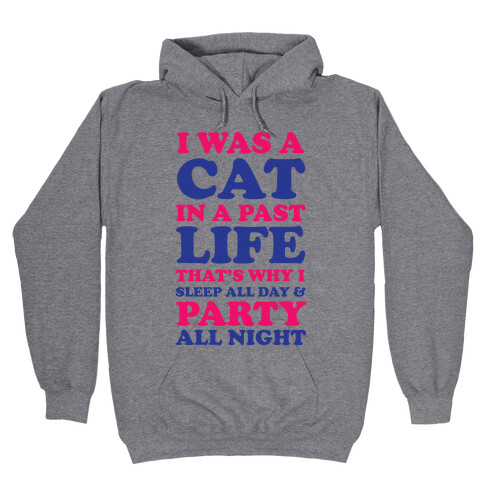 I Was a Cat in a Past Life That's Why I Sleep All Day Hooded Sweatshirt