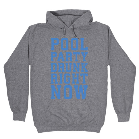 Pool Party Drunk Right Now Hooded Sweatshirt