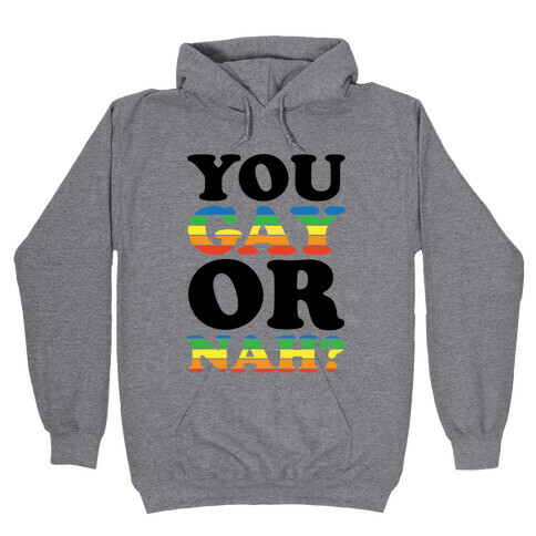 You Gay Or Nah? Hooded Sweatshirt