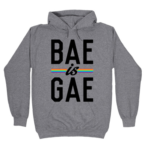 Bae Is Gae Hooded Sweatshirt