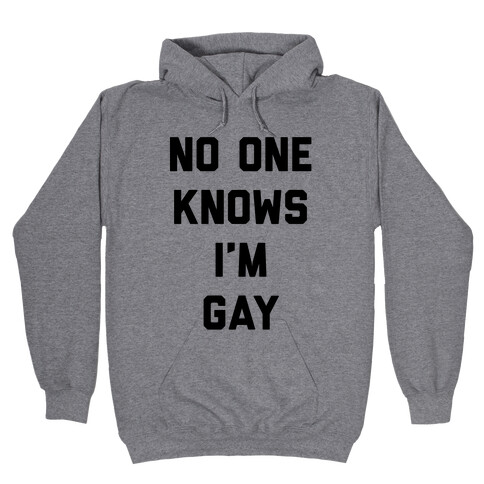 No One Knows I'm Gay Hooded Sweatshirt