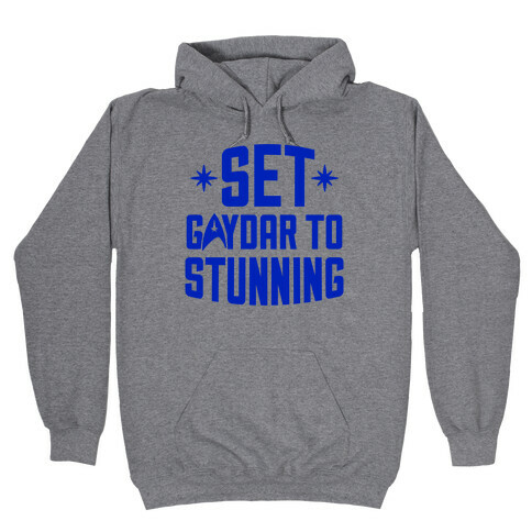 Set Gaydar To Stunning Hooded Sweatshirt