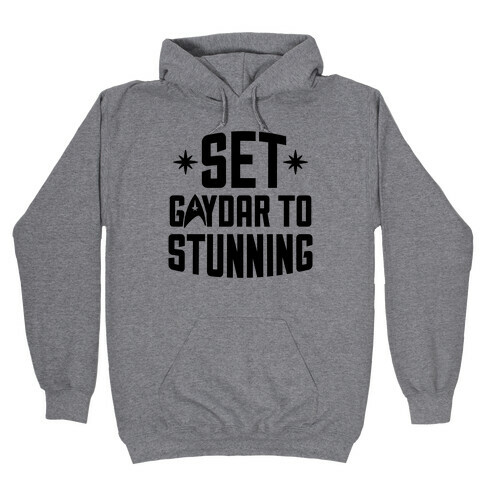 Set Gaydar To Stunning Hooded Sweatshirt