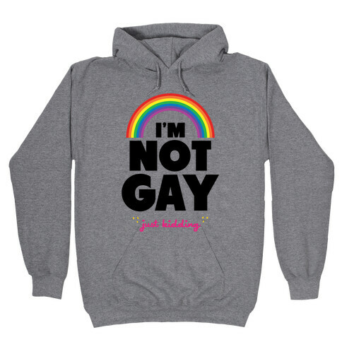 I'm Not Gay Just Kidding Hooded Sweatshirt