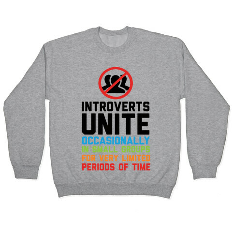 Introverts Unite! Pullover