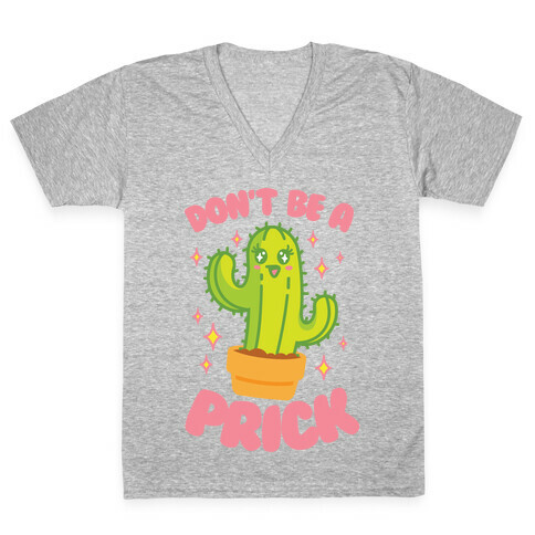 Don't Be A Prick V-Neck Tee Shirt