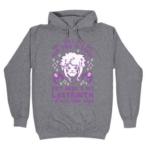 I Just Met You and This is Crazy But Here's my Labyrinth I Stole Your Baby Hooded Sweatshirt