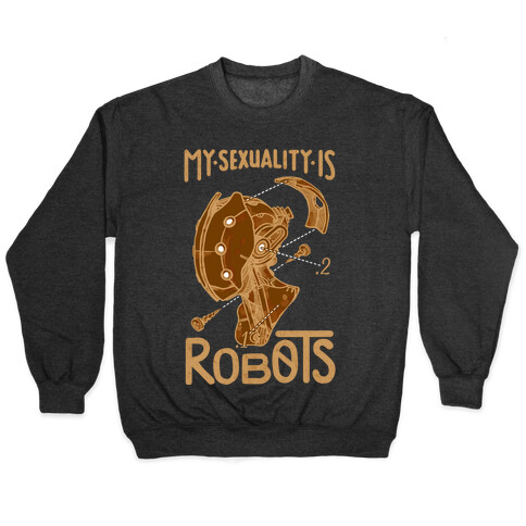 My Sexuality is Robots Pullover