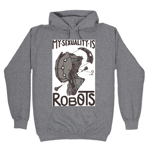 My Sexuality is Robots Hooded Sweatshirt