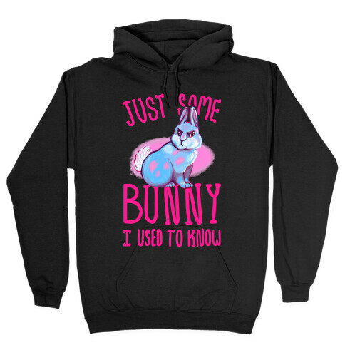 Just Some Bunny I Used To Know Hooded Sweatshirt