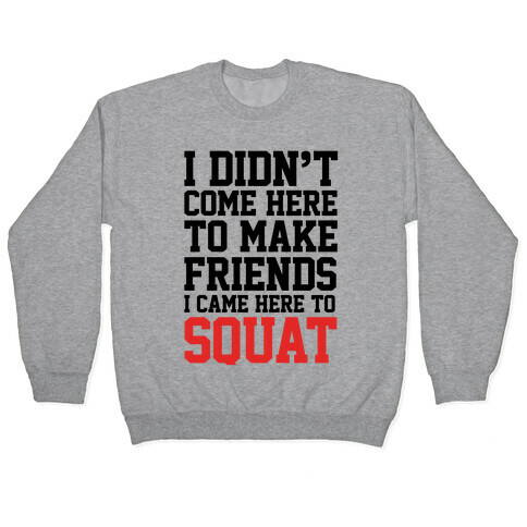 I Didn't Come Here To Make Friends, I Came Here To Squat Pullover